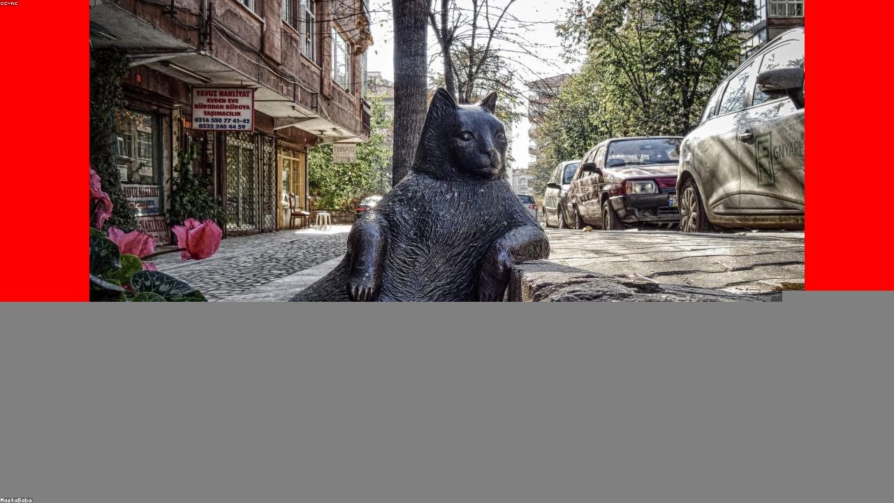 英超3大豪门盯上25岁戈登：欧冠10场轰10球 纽卡要价近1亿（封面配图）